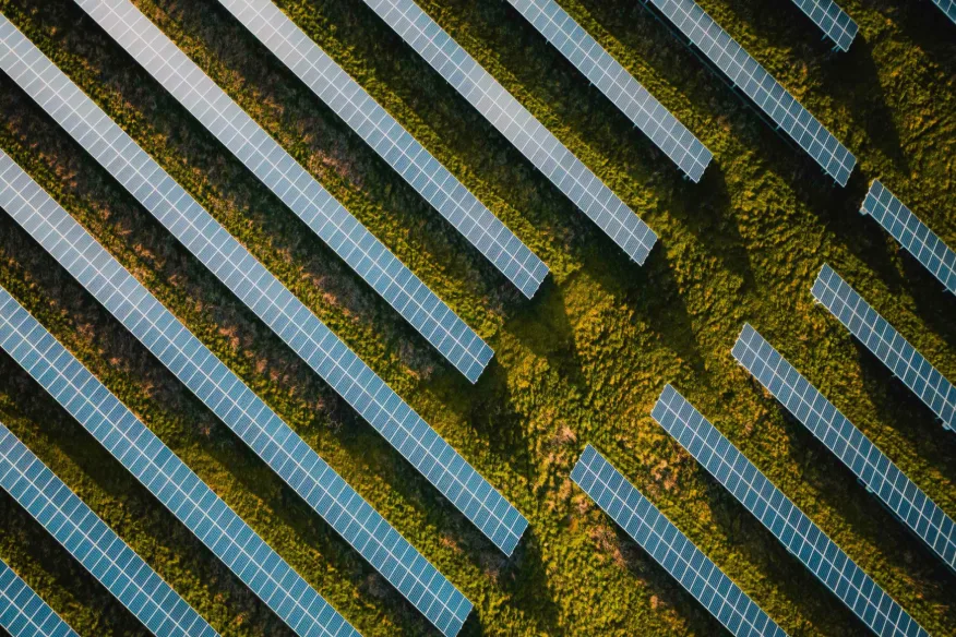 Rows of solar panels seen from above
